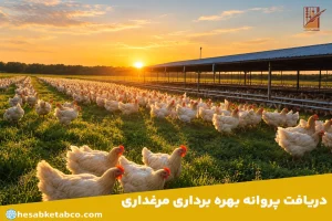 پروانه بهره برداری مرغداری